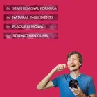 Oneway Happiness Activated Charcoal Teeth Whitening Powder 