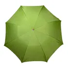 CITIZEN Trendy Umbrella Two Fold Auto Open Men/Women Rainy Monsoon Sun Heat UV Protection Umbrella 
