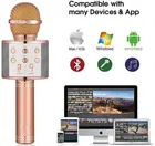 Karaoke Mic & Bluetooth Speaker for Kids