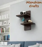 Wooden Double Layer Wall Shelves For Home, Brown