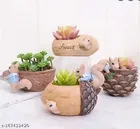 Terracotta Decorative Plant Holders for Home Decor 