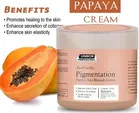 Ayurvedic Pigmentation Papaya Anti Blemish Cream (100 ml)