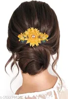 Hair Clips for Women 