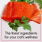 Purepet Tuna & Salmon Adult Cat Food, 1 kg