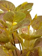 Green Gallery Artificial Yellow Camellia Flower Bunch 32x22cm