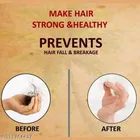 Phillauri Adivasi Hair Oil 