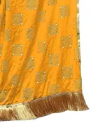 Chiffon Printed Dupatta for Women 