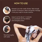 ग्लोबस नैचुरल्स आयुर्वेदिक अनियन शैम्पू 