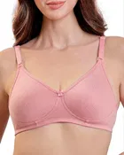 Solid Padded Everyday Bra Pack of 1 for Women 