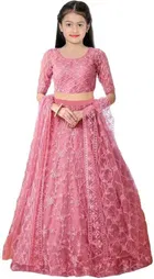 Net Embroidered Semi Stitched Lehenga for Girls 
