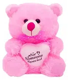 Medium Size Stuffed Soft Teddy Bear for Kids (Pink)
