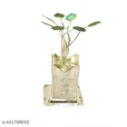 Metal Tulsi Plant Pot (Silver)