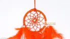 Feather Wall Hanging Dream Catcher 