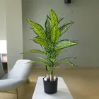 Green Gallery Snake Plant 26 leaves Green