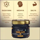 Nutrocopia Ayurvedic Shilajit 