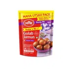 MTR Gulab Jamun Mix 500 g