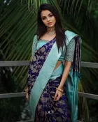 Litchi Silk Zari Woven Saree for Women, Navy Blue 