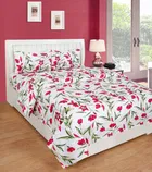 Polycotton Double Bedsheet with 2 Pillow Cover 
