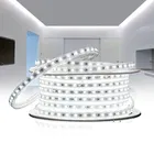 LED Rope Light 