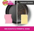 Scotch Brite Non Scratch Scrub Pad -Pack of 1