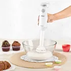 ORPAT HHB-100E Hand Blender 