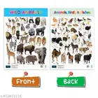 Bookford Publications Both Sides Big Laminated Charts – Vegetables & Wild Animals 