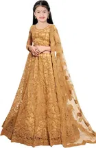 Net Embroidered Semi Stitched Lehenga for Girls 