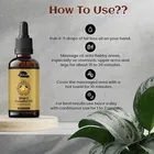 Belly Fat Burner Oil 