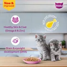 Whiskas Kitten Chicken Cat Food 7x80g