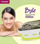 Stainless Steel Insulated 2 Containers Lunch Box for Kids 