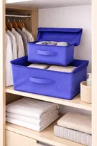 Craft Bazar Multipurpose Foldable Fabric Storage Box Combo of 2 with Lid and Handles for Clothes, Toys, Wardrobe, Shelf and Home Organization