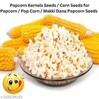 NutriHub Popcorn Kernel Seeds 