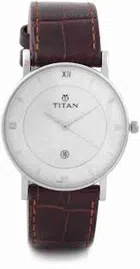 Titan 9162 SL01 Analog Watch for Men (Silver & Brown)