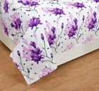 Printed Double Bedsheet with 2 Pillow Covers 