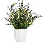 Fancymart Artificial Plant Hackleberry Leaves In Pot Perfect Potted Decoration For Home Living Room & Office Spaces Height - 30Cm