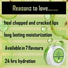 Ronzille Crunchy Apple Lip Balm 