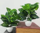 Plastic Artificial Flower With Pot,Multicolour,Set Of 2
