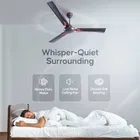 Longway Creta P1 1200 mm 3 Blade Ceiling Fan  