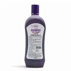 Ayur Amla Shikakai with Reetha Shampoo 1 L + Free Rose Water