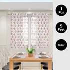 Sheer Floral Branches Printed Red Window Curtain 5ft Pack of 1
