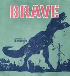 Full Sleeves Sweatshirt for Boys 