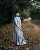 Litchi Silk Zari Woven Saree for Women, Grey 