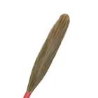 DASH BLACK GRASS BROOM