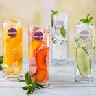 Liquor cum Cocktail Glasses 