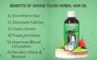 Oilanic Adivasi Tulsi Herbal Hair Oil for Hair Fall & Hair Growth 