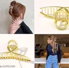 Metal Hair Clutcher for Women & Girls 