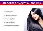 Park Daniel Neem Oil & Castor Oil 