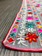 Embroidered Jaipuri Net with Aari Work Sewing & Embroidery 