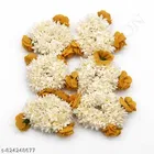 Designer Hair Clips for Women 