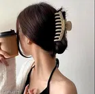 Plastic Hair Clutcher for Women & Girls 